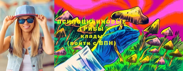 эйфоретик Богородицк