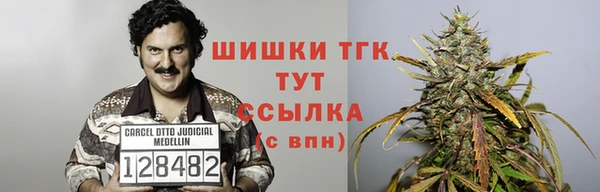 молекула духа Покровск